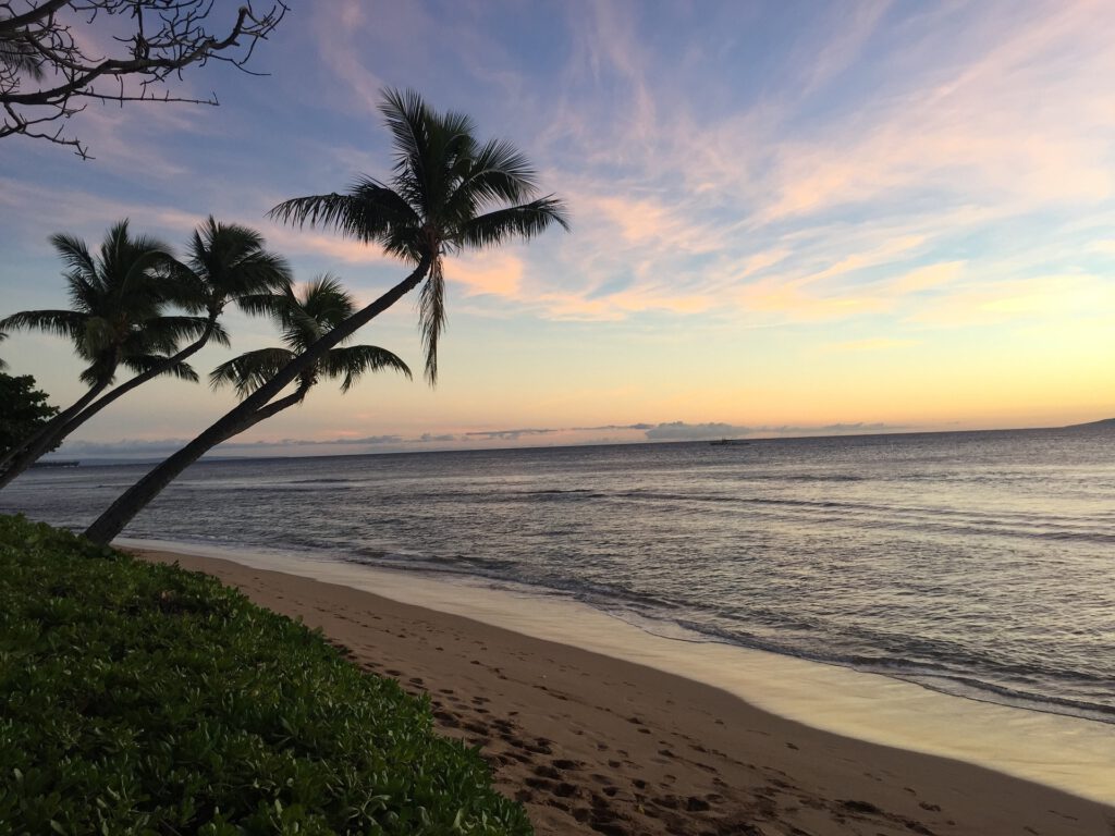 palmen-strand-maui